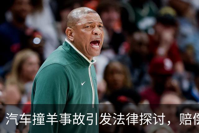 汽车撞羊事故引发法律探讨，赔偿并不等于所有权转移